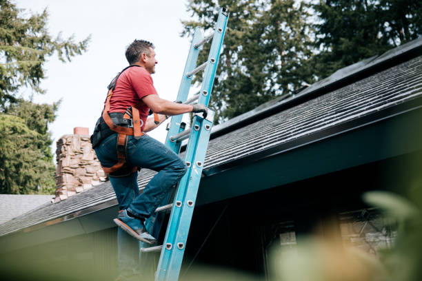Waterproofing in Robersonville, NC